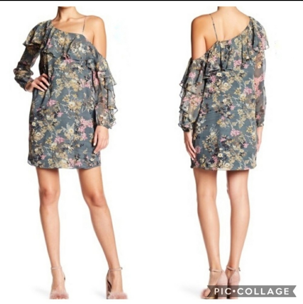 Haute hippie 1 shoulder dress